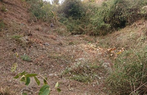 18 Biswa Land/Plot For Sale In Mehli