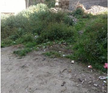 7 Biswa Plot For sale in Vikasnagar , Shimla