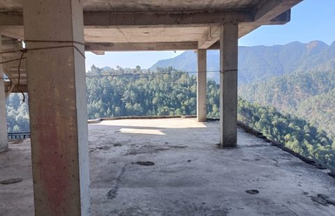 Duplex Lenter For Sale In New Shimla